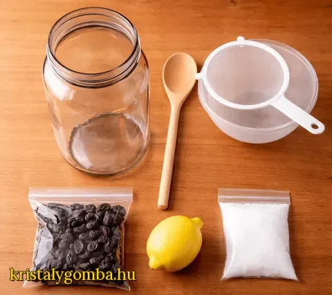 Kristallpilz Starter-Set Zubehör – Glas, Sieb, Rosinen, Zitrone, Zucker